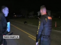Live PD S03E40 480p x264-mSD [eztv]