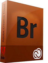 Adobe Bridge CC 2019.9.1.0.338 RePack [KolomPC]