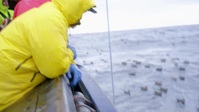 Deadliest Catch S18E11 720p WEB h264-BAE EZTV