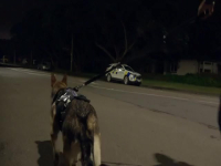 Dog Squad S13E05 480p x264-mSD EZTV