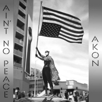 Akon - Ain’t No Peace (2020) Mp3 320kbps Album [PMEDIA] ️