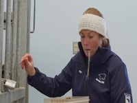 Arctic Vets S02E08 480p x264-mSD EZTV Arctic Vets S02E08 480p x264-mSD EZTV