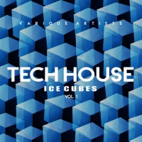 VA - Tech House Ice Cubes Vol.1 (2019) [320Kbps]