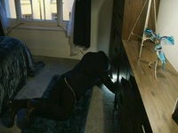 Help My House Is Haunted S03E03 480p x264-mSD EZTV