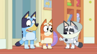 Bluey S02E39 iNTERNAL XviD-AFG EZTV Bluey S02E39 iNTERNAL XviD-AFG EZTV