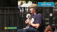 Impractical Jokers S08E00 Fantasy Draft XviD-AFG EZTV Impractical Jokers S08E00 Fantasy Draft XviD-AFG EZTV