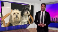 Tosh 0 S12E01 WEB h264-BAE EZTV
