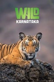 Wild Karnataka 2020 HDTV x264-BabyTorrent Wild Karnataka 2020 HDTV x264-BabyTorrent