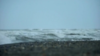 Bering Sea Gold S10E06 WEB x264-TBS[eztv]