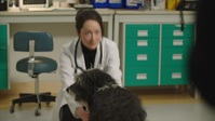 Strays S02E03 1080p HEVC x265-MeGusta EZTV Strays S02E03 1080p HEVC x265-MeGusta EZTV