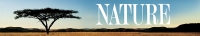 Nature S38E01 Octopus Making Contact HDTV x264-W4F[TGx]