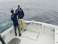 Wicked Tuna S10E13 480p x264-mSD EZTV Wicked Tuna S10E13 480p x264-mSD EZTV