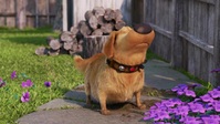 Dug Days S01E03 XviD-AFG EZTV Dug Days S01E03 XviD-AFG EZTV