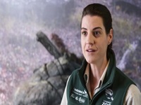 Inside Taronga Zoo S02E01 480p x264-mSD EZTV