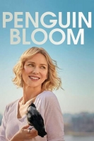 Penguin Bloom 2021 HDRip XviD AC3-EVO[TGx]