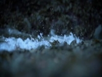 Port Protection S05E05 Dangerous Grounds 480p x264-mSD [eztv]