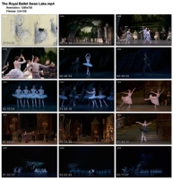The Royal Ballet Swan Lake (1280x720p HD, 50fps, soft Eng subs)