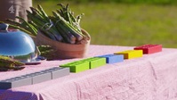 Food Unwrapped S24E00 Veg Box XviD-AFG EZTV
