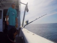 Wicked Tuna S09E10 Mate Debate 480p x264-mSD [eztv]