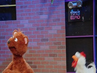 The NotTooLate Show With Elmo S02E05 480p x264-mSD EZTV The NotTooLate Show With Elmo S02E05 480p x264-mSD EZTV