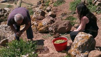 Italys Uncharted Islands S01E04 XviD-AFG EZTV Italys Uncharted Islands S01E04 XviD-AFG EZTV