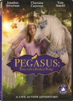 Pony With A Broken Wing 2019 DVDRip XviD AC3-EVO