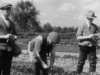 The Country Comes to Town 1933 BDRip x264-BiPOLAR