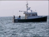 Wicked Tuna S09E13 Crunch Time 480p x264-mSD [eztv]