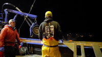 Deadliest Catch S20E11 XviD-AFG EZTV Deadliest Catch S20E11 XviD-AFG EZTV