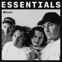 Rage Against the Machine - Essentials (2020) Mp3 320kbps [PMEDIA] ️