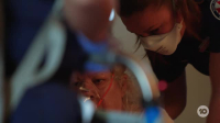Ambulance Australia S05E02 XviD-AFG EZTV Ambulance Australia S05E02 XviD-AFG EZTV