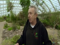 Flog It S17E11 480p x264-mSD [eztv]