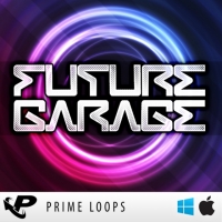 Prime.Loops.Future.Garage.MULTiFORMAT [goLdbLade]