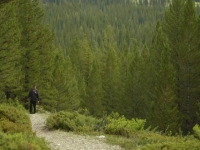 CBC Docs POV S01E07 480p x264-mSD [eztv]