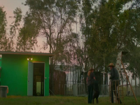 Chimp Crazy S01E04 480p x264-mSD EZTV