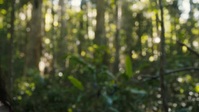 The Wilds S02E06 XviD-AFG EZTV