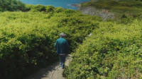 Perfect Pub Walks With Bill Bailey S01E03 XviD-AFG EZTV