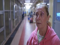 Arctic Vets S02E06 480p x264-mSD EZTV