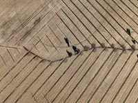Live To Farm S01E09 480p x264-mSD EZTV