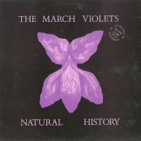 The March Violets - Natural History (1984) [FLAC]