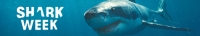 Shark Week 2020 Shark Lockdown 720p WEBRip x264-CAFFEiNE[TGx]