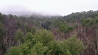 Mountain Men S07E13 WEB h264-TBS [eztv]