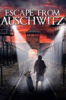 No Escape 2020 720p WEBRip 800MB x264-GalaxyRG