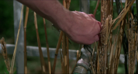 Willard 1971 1080p BluRay H264 AAC