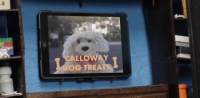 Allan the Dog (2020) [720p] [WEBRip] [YTS] [YIFY]