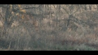HuntCo S02E08 INTERNAL WEB h264-WEBTUBE [eztv]
