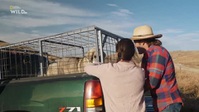 Man Woman Dog S01E06 XviD-AFG EZTV Man Woman Dog S01E06 XviD-AFG EZTV