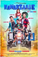 Nawabzaade (2018) Hindi 720p Pre-DVDRip x264 750MB