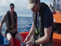 OceanXplorers S01E01 480p x264-mSD EZTV OceanXplorers S01E01 480p x264-mSD EZTV