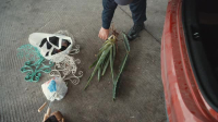Contraband Seized at the Border S04E08 XviD-AFG EZTV Contraband Seized at the Border S04E08 XviD-AFG EZTV